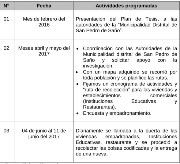 Tabla N° 1: Plan de trabajo para el distrito de San Pedro de Saño 