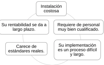 Figura 15: Desventajas de la BD. 