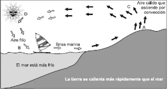 Figura  3  Brisas marinas 