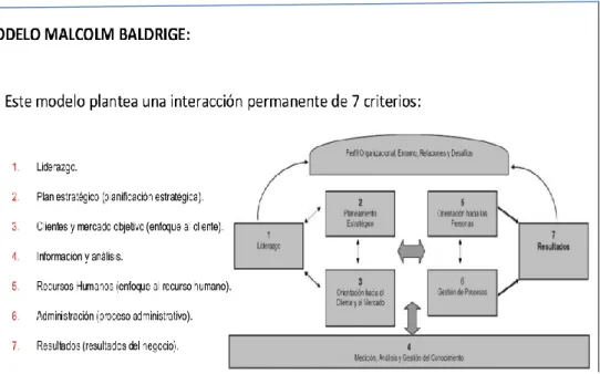 Figura 11: Modelo Malcolm Baldrige 