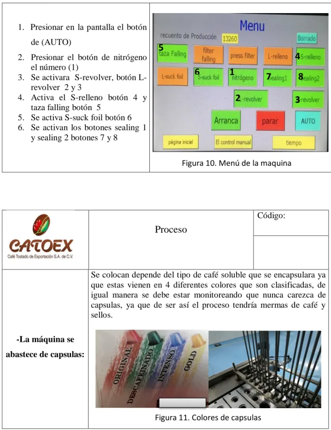 Figura 11. Colores de capsulas  