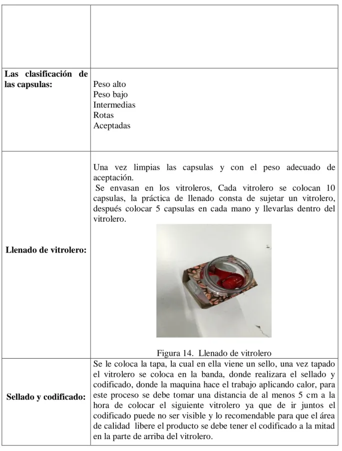 Figura 14.  Llenado de vitrolero 