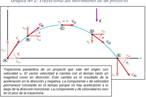 Gráfico Nº 2: Trayectoria del movimiento de un proyectil 
