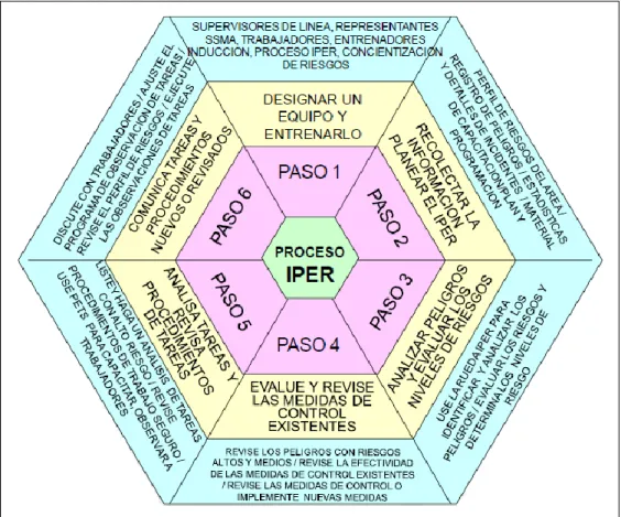 Figura  07. Proceso IPER 