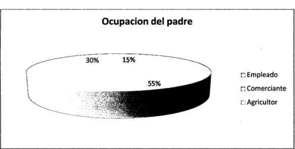 Gráfico  No  9 