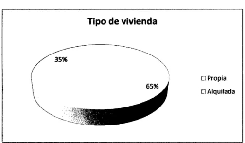 Gráfico  No  12 