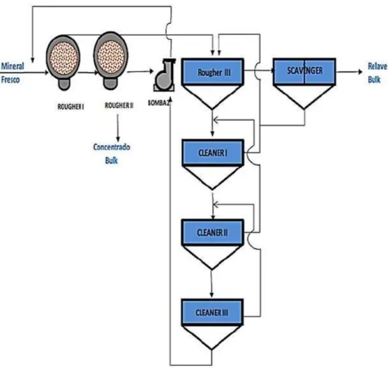 Fig. 1.4  CIRCUITO DE CONCENTRADO DE BULK 