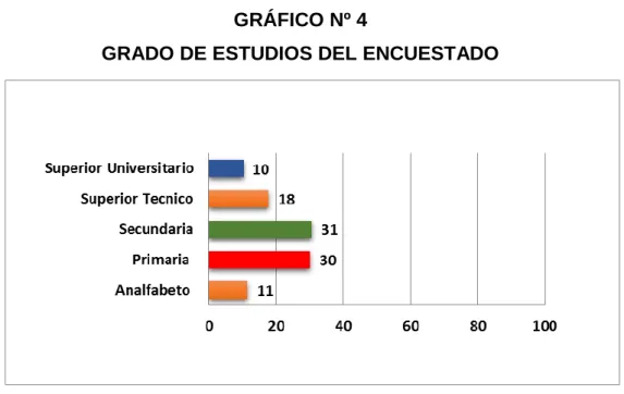 GRÁFICO Nº 4 