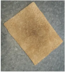 Fig. 10 Alcohol especial  para la limpieza del 
