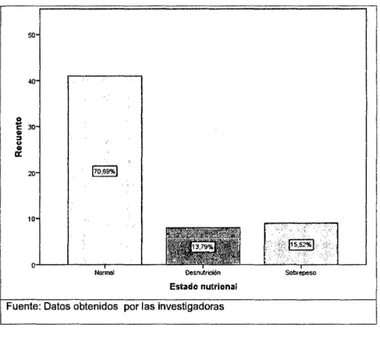 GRÁFICO No  6 