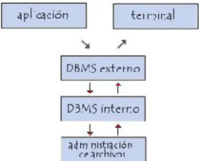 Figura 2. DBMS [11]