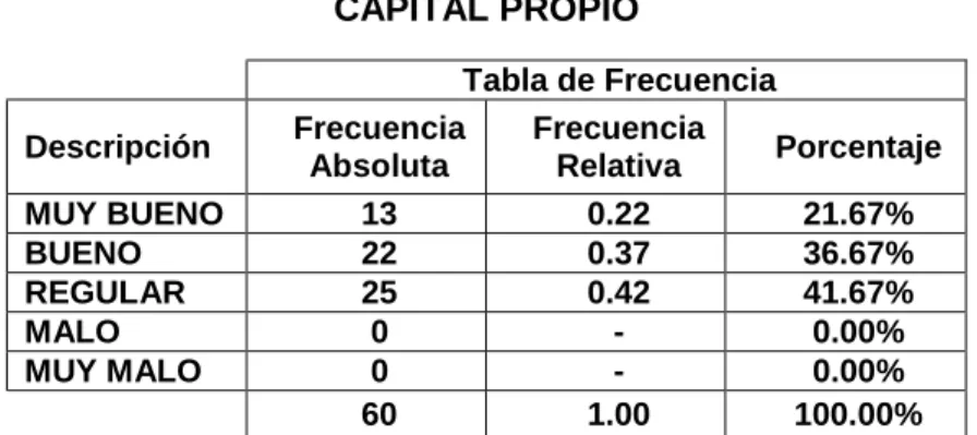 CUADRO N° 7  CAPITAL PROPIO 