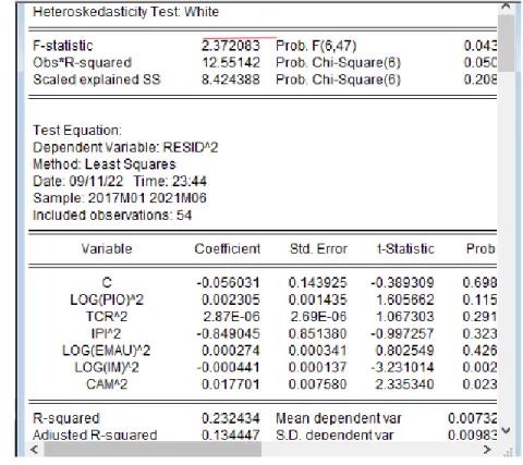 Figura 32  Test White 