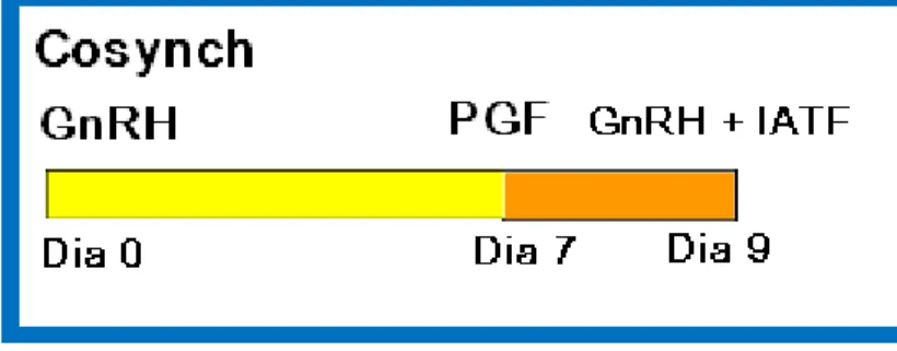 Figura 6. Esquema de sincronización con el protocolo Cosynch®  