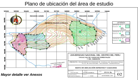 MAPA DE UBICACIÓN ESTRATOS Y CALICATAS 299.94  Ha