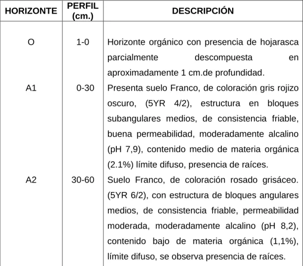 Tabla 1: Descripción del Perfil (E-I)  HORIZONTE  PERFIL   