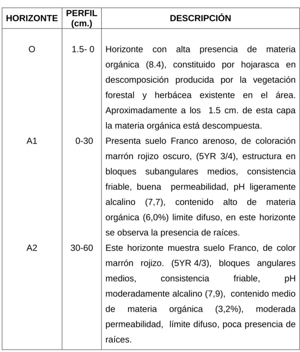 Tabla 2: Descripción del Perfil (E-II)  HORIZONTE  PERFIL   