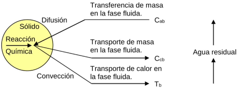 Fig. 2- 4 Diagrama esquemático del proceso global de reacción. 