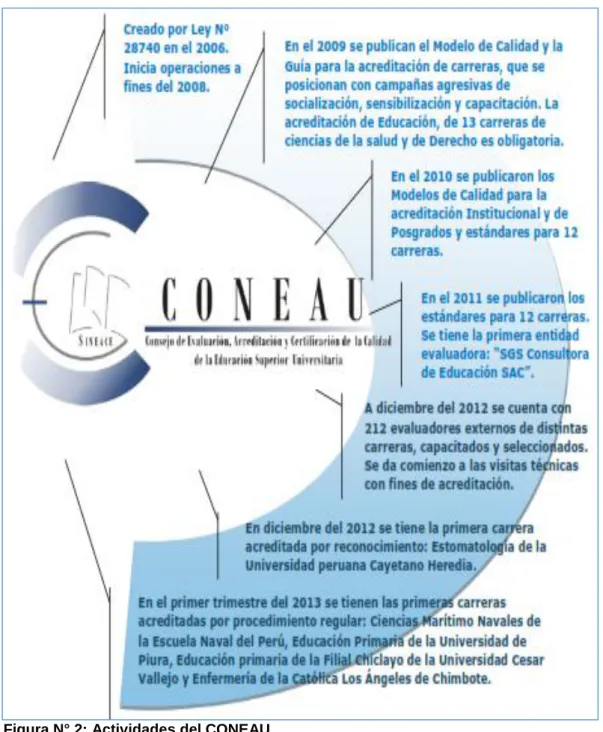 Figura N° 2: Actividades del CONEAU. 