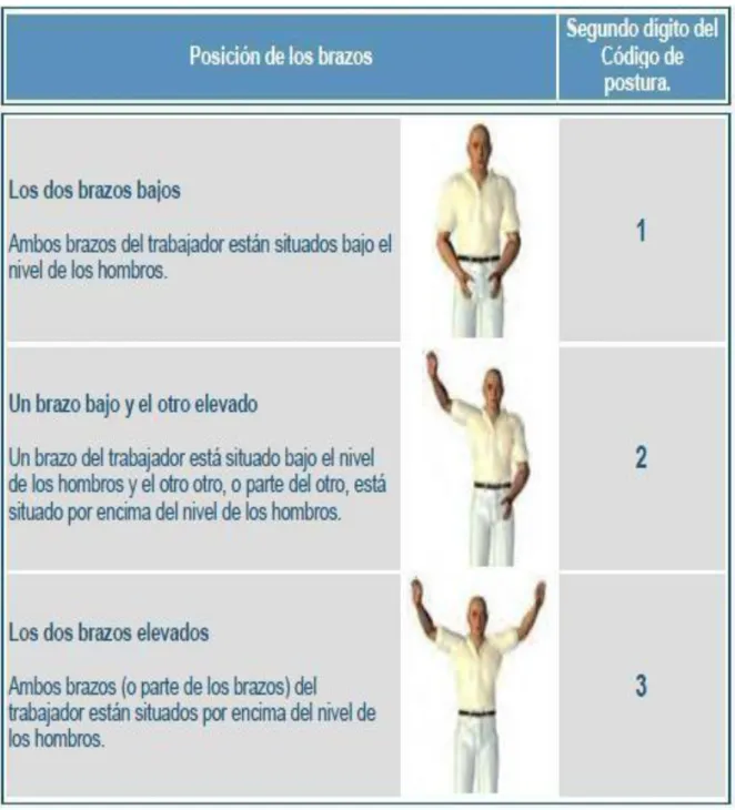 Figura 2.-Codificación posición brazos 
