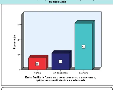 FIGURA Nº 11 