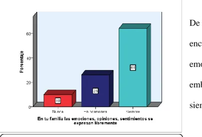 FIGURA Nº 10 