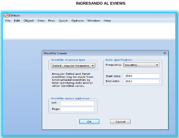 CUADRO Nº 29  INGRESANDO AL EVIEWS 