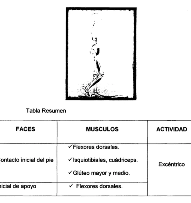 Tabla Resumen 