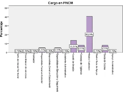 Figura  8: Cargo en la Unidad Territorial de Junín del PNCM 