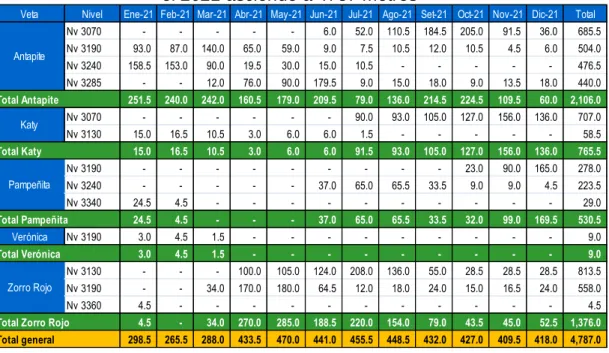 Tabla 4  Programa de Avance 2021 