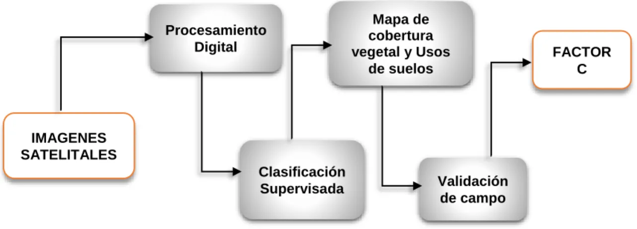 Mapa de  cobertura  vegetal y Usos 