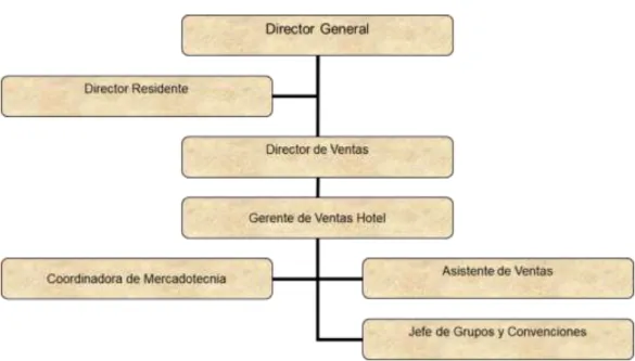 Ilustración 5 DIRECTOR GENERAL 