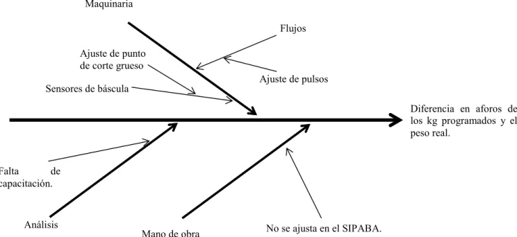 Figura 14.Diagrama de causa y efecto de aforos