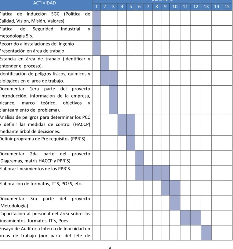 Tabla 2. Cronograma de actividades 