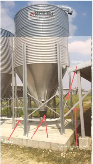 Ilustración 4 Partes de Silo 