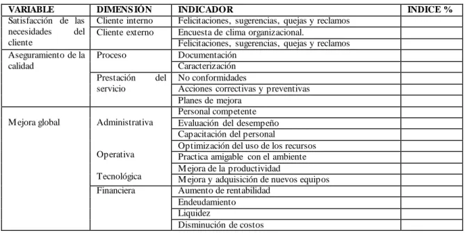 Tabla 3. Variables de la investigación 