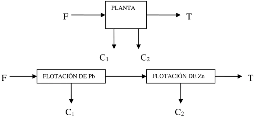 Figura Nº 2 