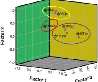 Figura 3. Gráfico de factor en espacio de factores rotados. 