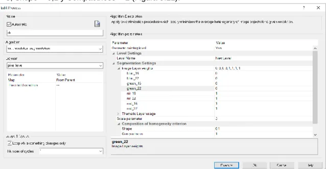 Figura  5.11.  Resultado  de  la  configuración  de  parámetros  para  la  segmentación  en  eCognition  Developer 10.1 Trial
