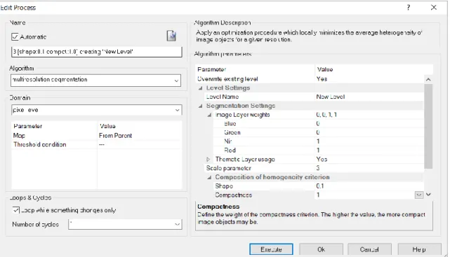 Figura 5.4. Resultado de la configuración de parámetros para la segmentación en  eCognition  Developer 10.1 Trial