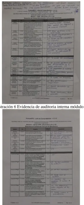 Ilustración 7 Evidencia de auditoria interna módulo 2 