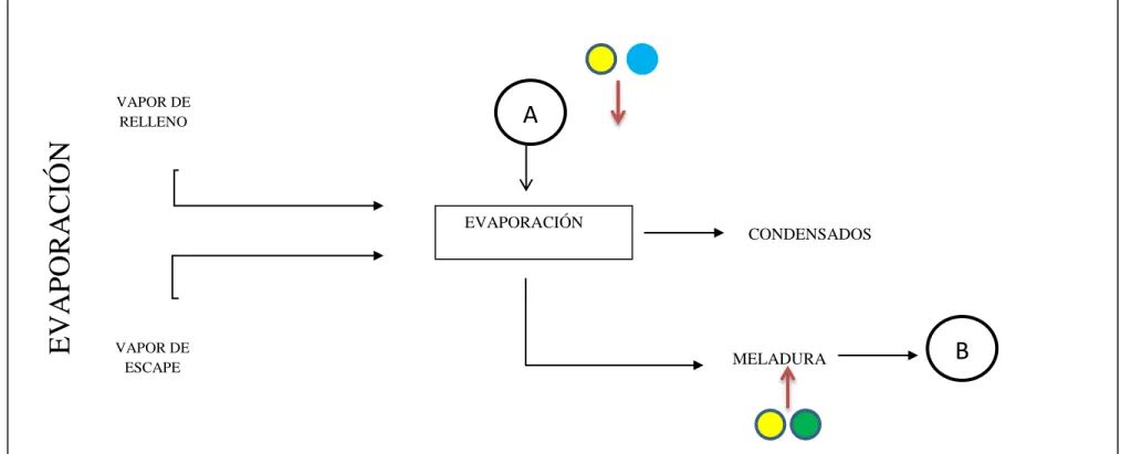 Figura 3. Diagrama de evaporación. 
