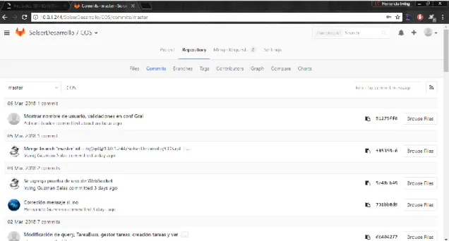 Ilustración 7 Repositorio