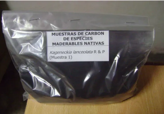 Figura 10. Muestra 1 de carbón de Acacia Macracantha H&amp;B. para la determinación de   poder calorífico.