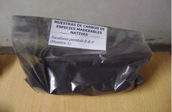 Figura 11. Muestra 1 de carbón de Escallonia pendula R&amp;P. para la determinación de   poder calorífico 