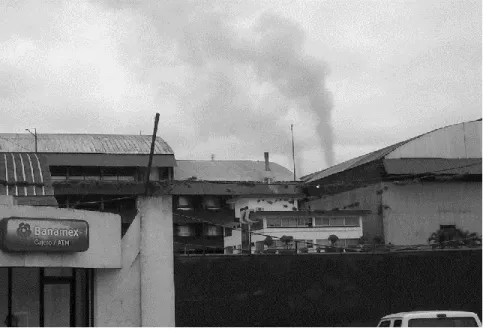 Fig. 1 Central Potrero S.A. de C.V. 