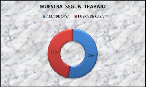 Gráfico  Nº 04 