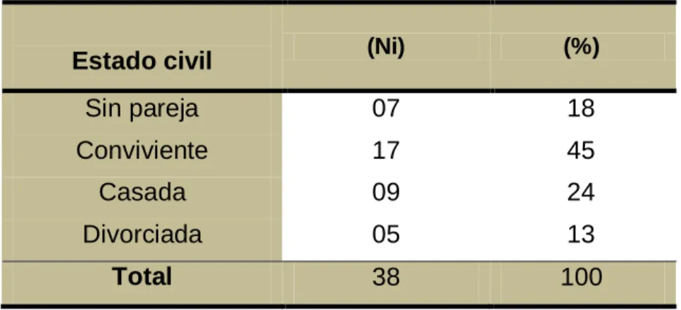 Gráfico Nº 06 