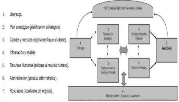 Figura 7: Modelo Malcolm Baldrige 