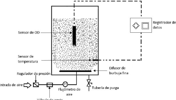 Figura  5. Esquema de la unidad experimental 